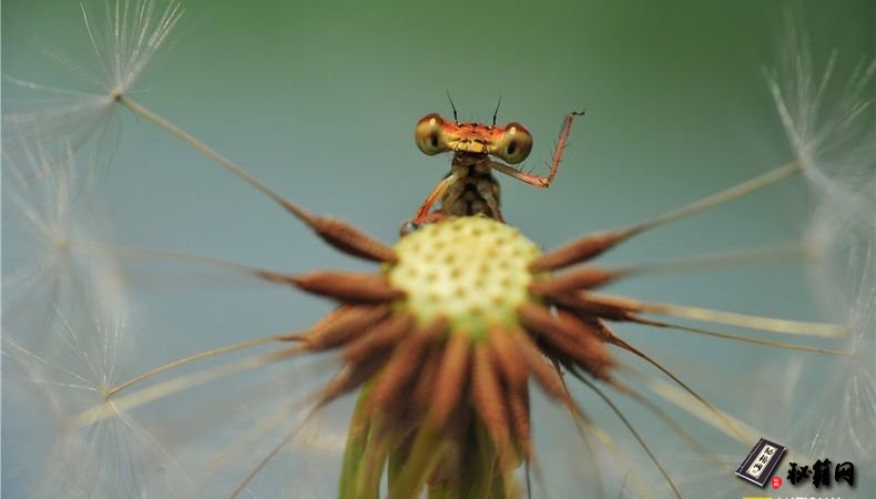 记录片《国家地理》全集720P高清469G