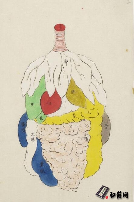 罕见古代彩印中医五脏论述古籍《五藏图》