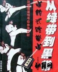 [武功秘籍]从绿带到黑带：道馆式跆拳道威力卷.王双忠.pdf
