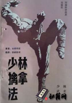 [武功秘籍]少林擒拿法(素喜).pdf