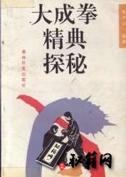 [武功秘籍]大成拳精典探秘（李照山）.pdf