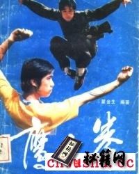 《鹰爪拳》翟金生.pdf   源于河北雄县的鹰爪翻子拳